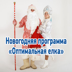 Новогодняя елка в Казани недорого для организаций и детских учреждений